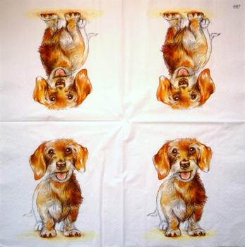 HUN-021 Dogs - 3-ply - Ihr